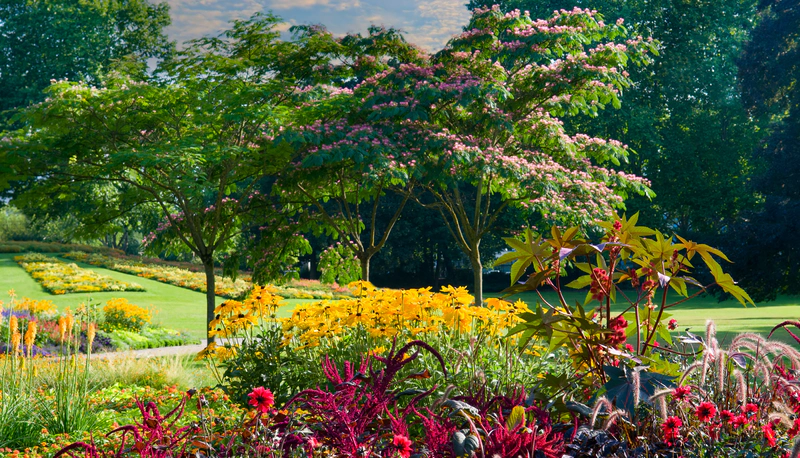 Beratung für Ihren Garten